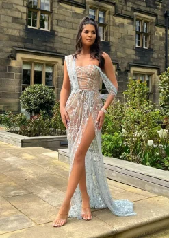 Women DressMeZee Occasion Wear|Diamond Nights Glitter Mesh Maxi Dress - Silver