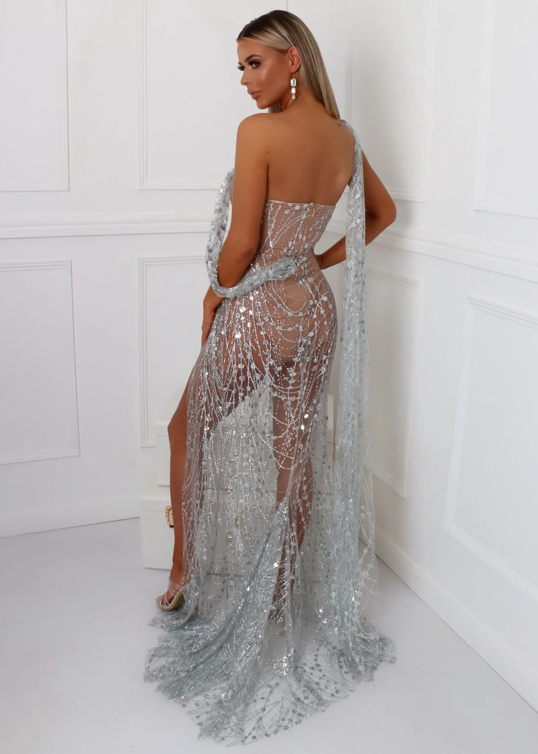 Women DressMeZee Occasion Wear|Diamond Nights Glitter Mesh Maxi Dress - Silver