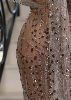 Women DressMeZee Occasion Wear|Diamond Nights Glitter Mesh Maxi Dress - Bronze