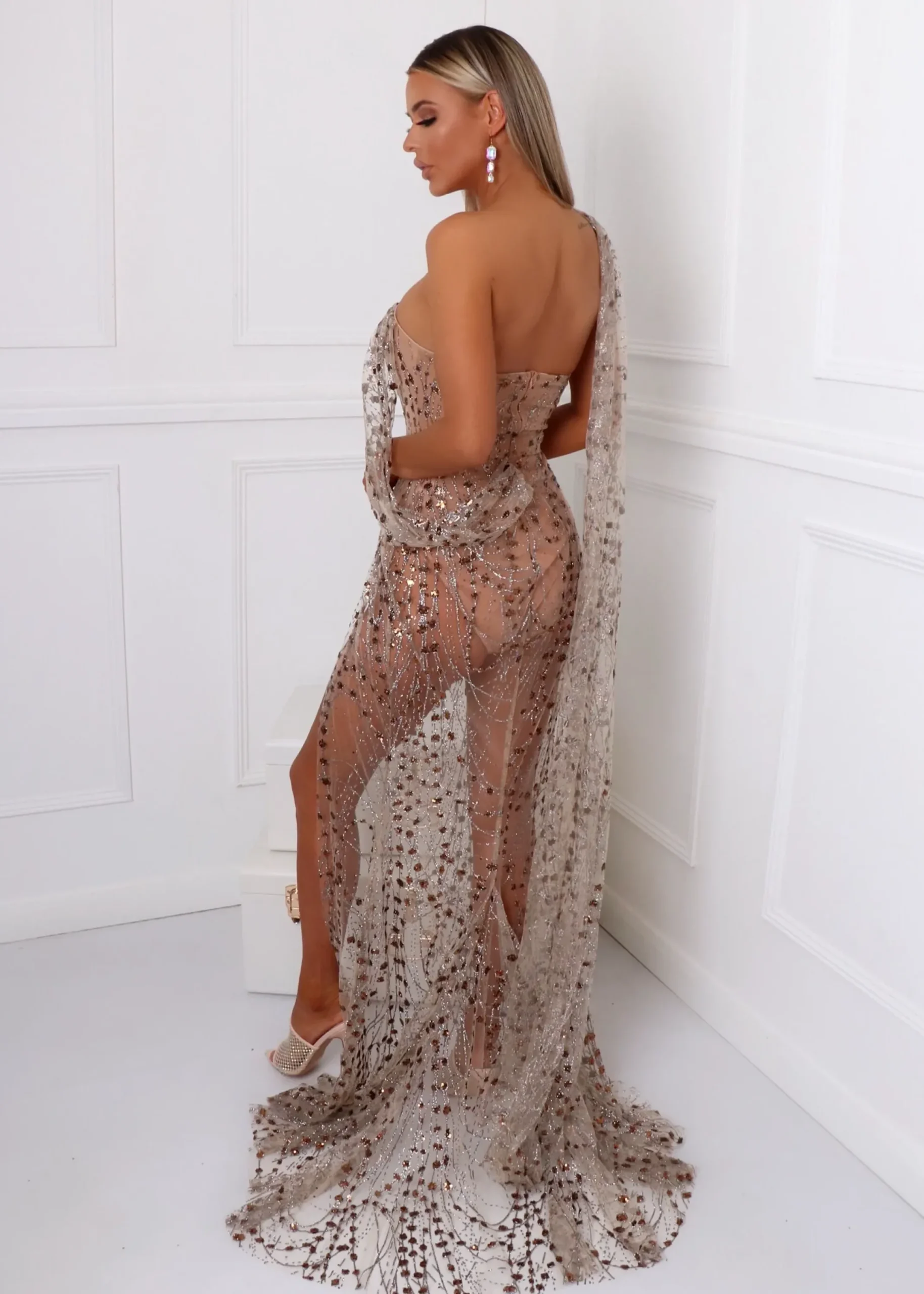 Women DressMeZee Occasion Wear|Diamond Nights Glitter Mesh Maxi Dress - Bronze