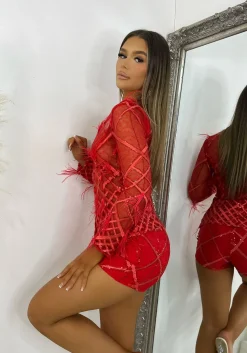 Women DressMeZee Co-Ords|Just My Type Feather Mesh Two Piece - Red